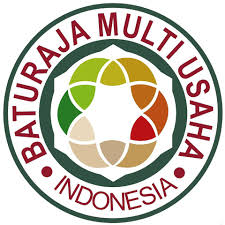 Baturaja Multi Usaha